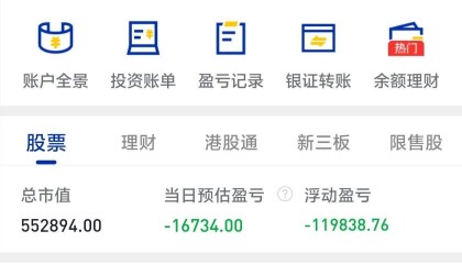 青海华鼎股票(青海华鼎股票值得买吗)