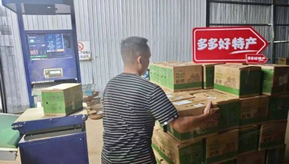 程序员转行卖木瓜！开发AI系统日销万单