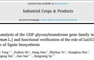 【一区家族】亚麻UGT家族全基因组鉴定及LuUGT175调控木质素生物合成的功能验证