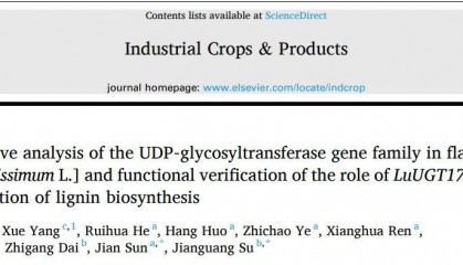 【一区家族】亚麻UGT家族全基因组鉴定及LuUGT175调控木质素生物合成的功能验证