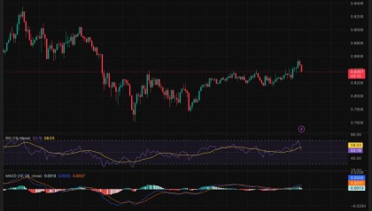 艾达币交易(艾达币合法吗)