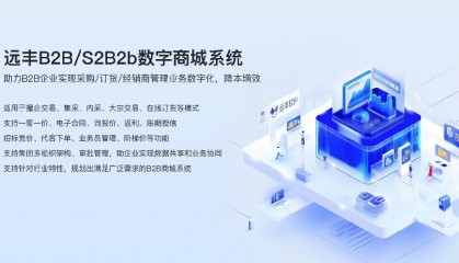 b2b购物平台开发