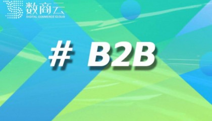 B2B平台源码：数商云助力企业打造高效数字化交易平台