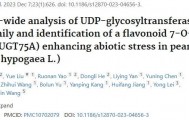【二区家族】花生UGT基因家族的全基因组分析