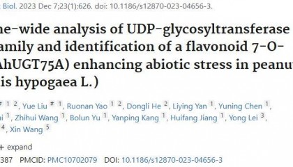 【二区家族】花生UGT基因家族的全基因组分析
