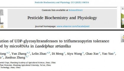【一区家族】灰飞虱UGT基因家族分析