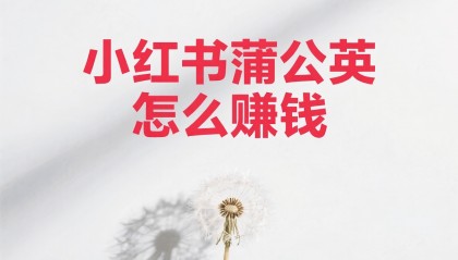 小红书蒲公英怎么赚钱？是真的吗？