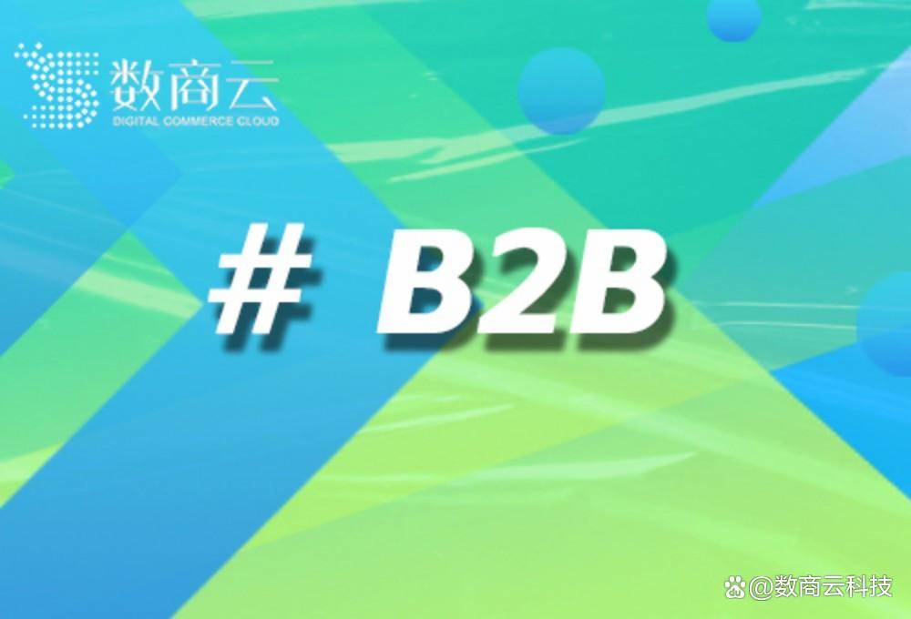 B2B平台源码：数商云助力企业打造高效数字化交易平台