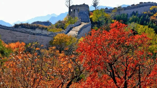 新一轮北京机动车尾号限行轮换即将开始；北京8条公交线路拟调整丨朝闻北京