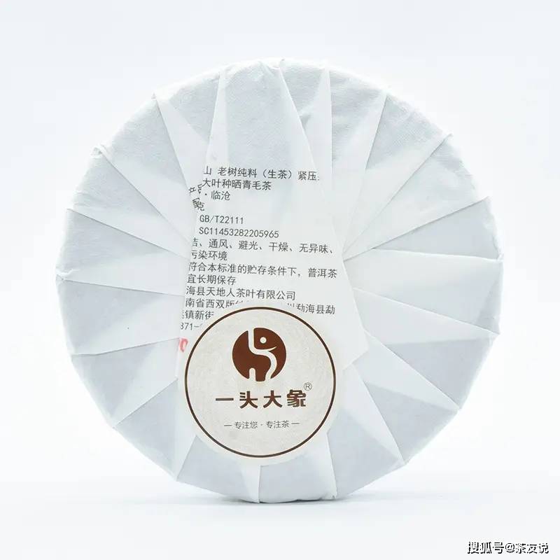 2023年天地人茶厂一头大象倒生根大雪山古树茶 生茶评测:舌底鸣泉,似冰糖韵