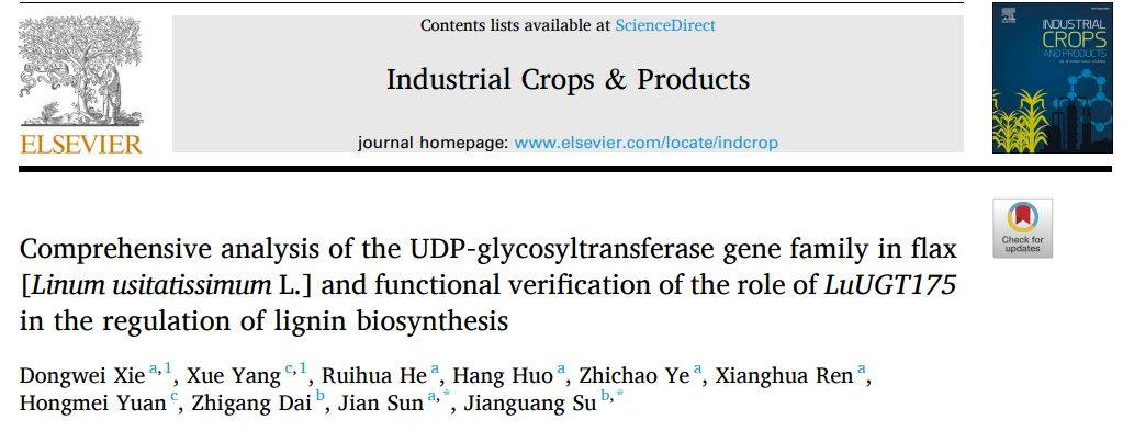 【一区家族】亚麻UGT家族全基因组鉴定及LuUGT175调控木质素生物合成的功能验证