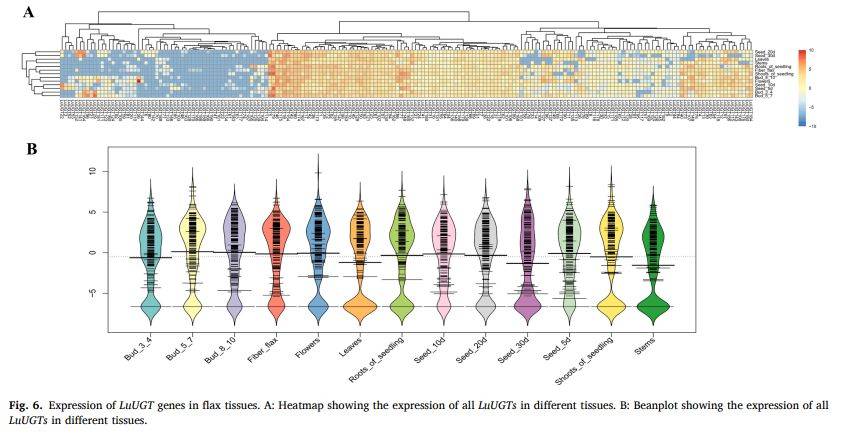 【一区家族】亚麻UGT家族全基因组鉴定及LuUGT175调控木质素生物合成的功能验证