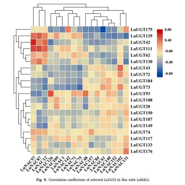 【一区家族】亚麻UGT家族全基因组鉴定及LuUGT175调控木质素生物合成的功能验证
