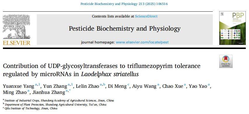 【一区家族】灰飞虱UGT基因家族分析