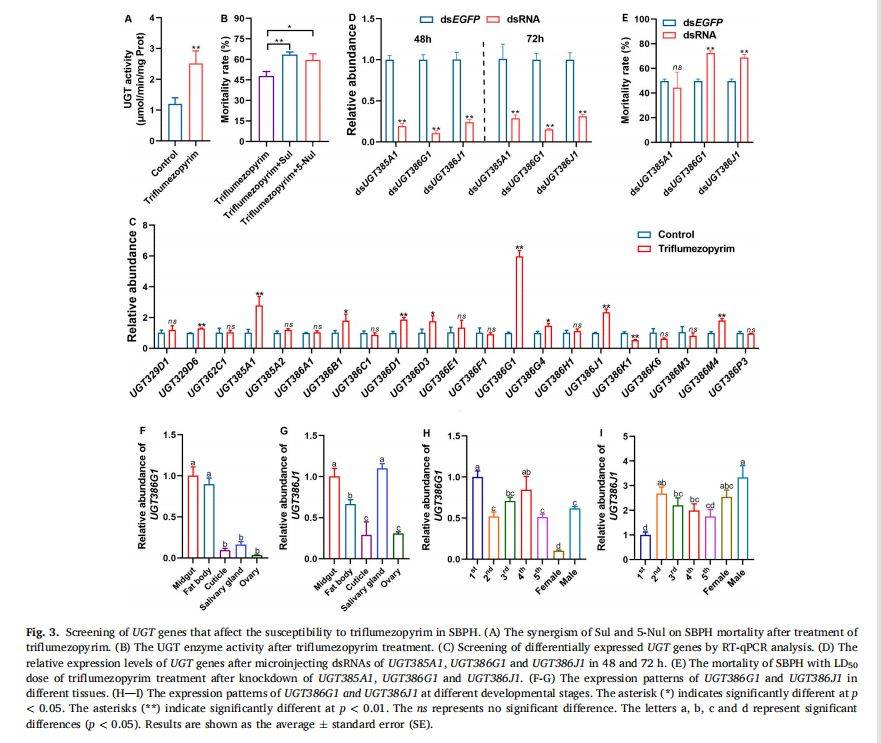 【一区家族】灰飞虱UGT基因家族分析