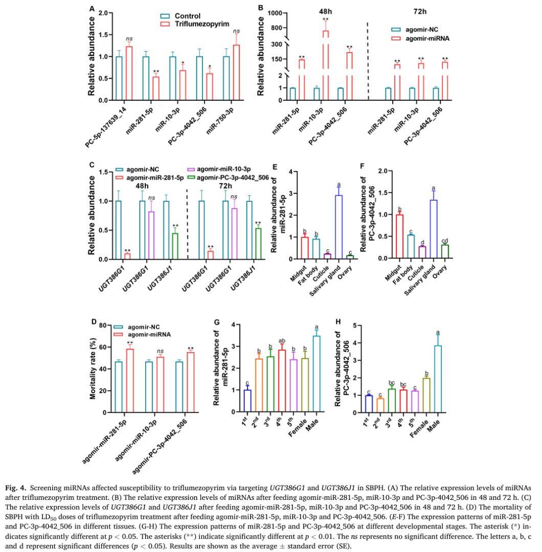 【一区家族】灰飞虱UGT基因家族分析