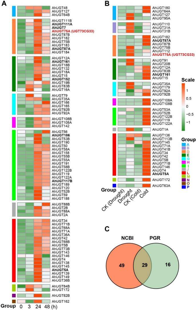 【二区家族】花生UGT基因家族的全基因组分析