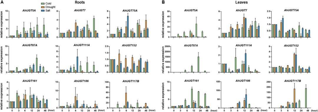 【二区家族】花生UGT基因家族的全基因组分析